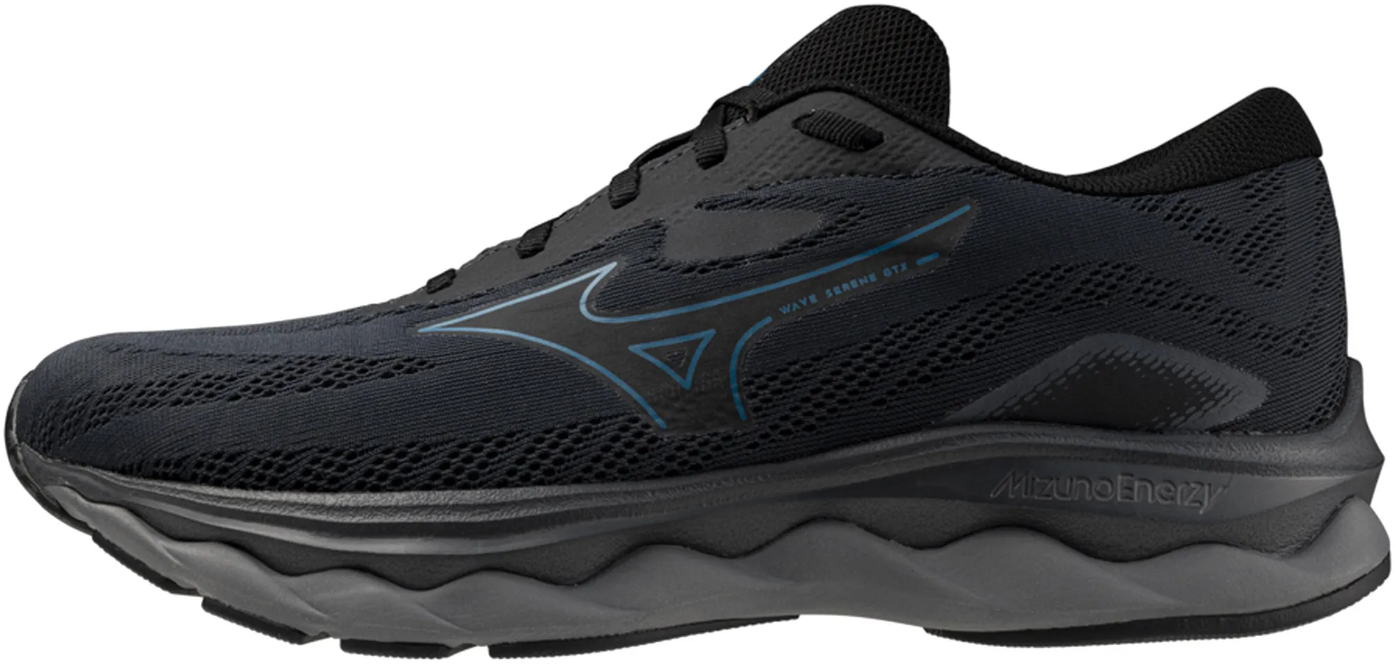 Rock Path Mizuno Wave Serene GORE-TEX Mens Running Shoes - Black