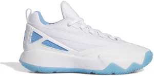 Thermobonded Reinforcement Dame Certified 2 Low Men's Basketball Shoes