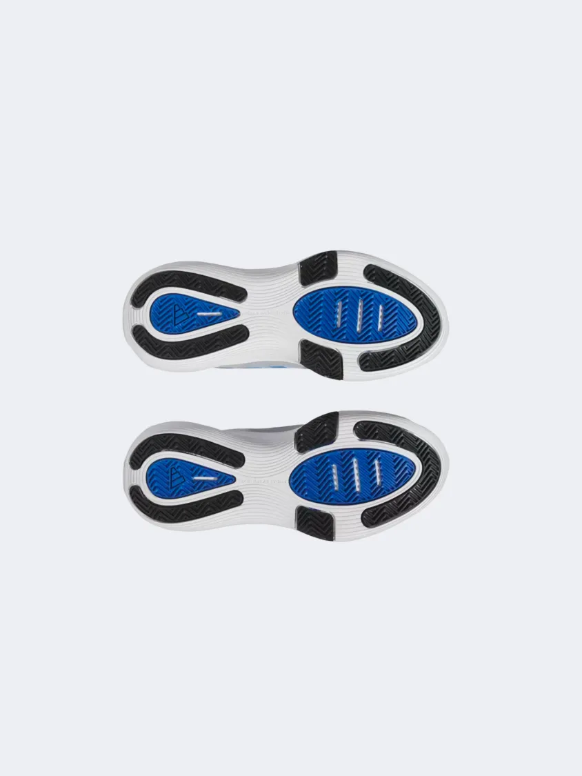Centered Pivot Points Adidas Bounce Legends Men Basketball Shoes Grey/Royal/Black