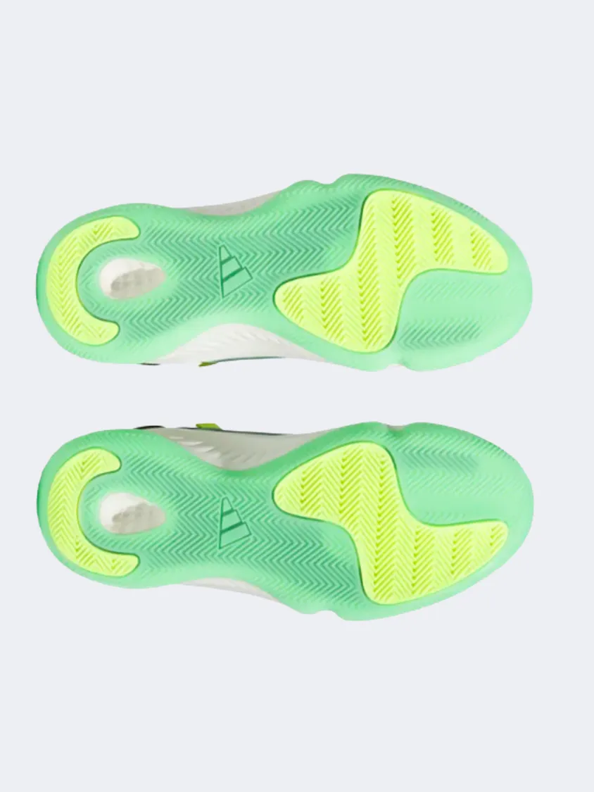 Adidas Adizero Select Men Basketball Shoes Multicolor Stable Structure Ultra Responsive Padding
